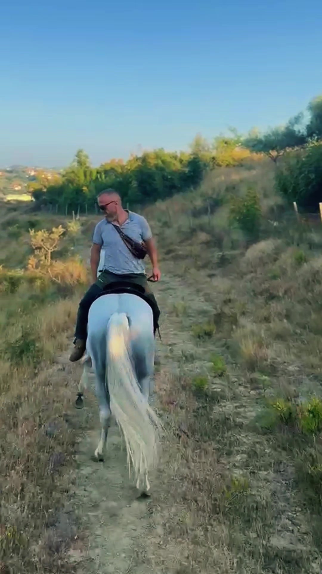 @Horse Training Center Albania