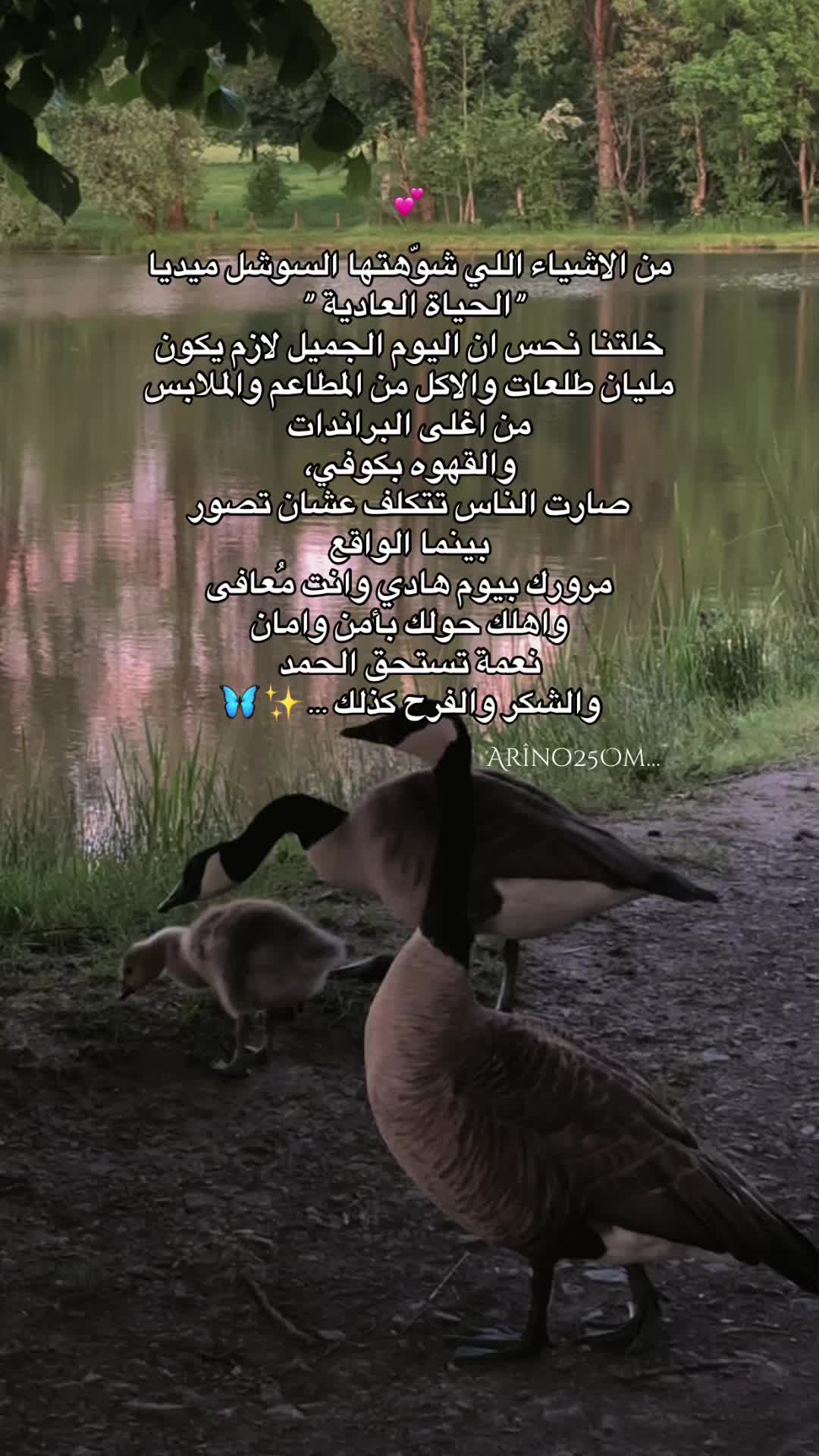 @Arîno25Om