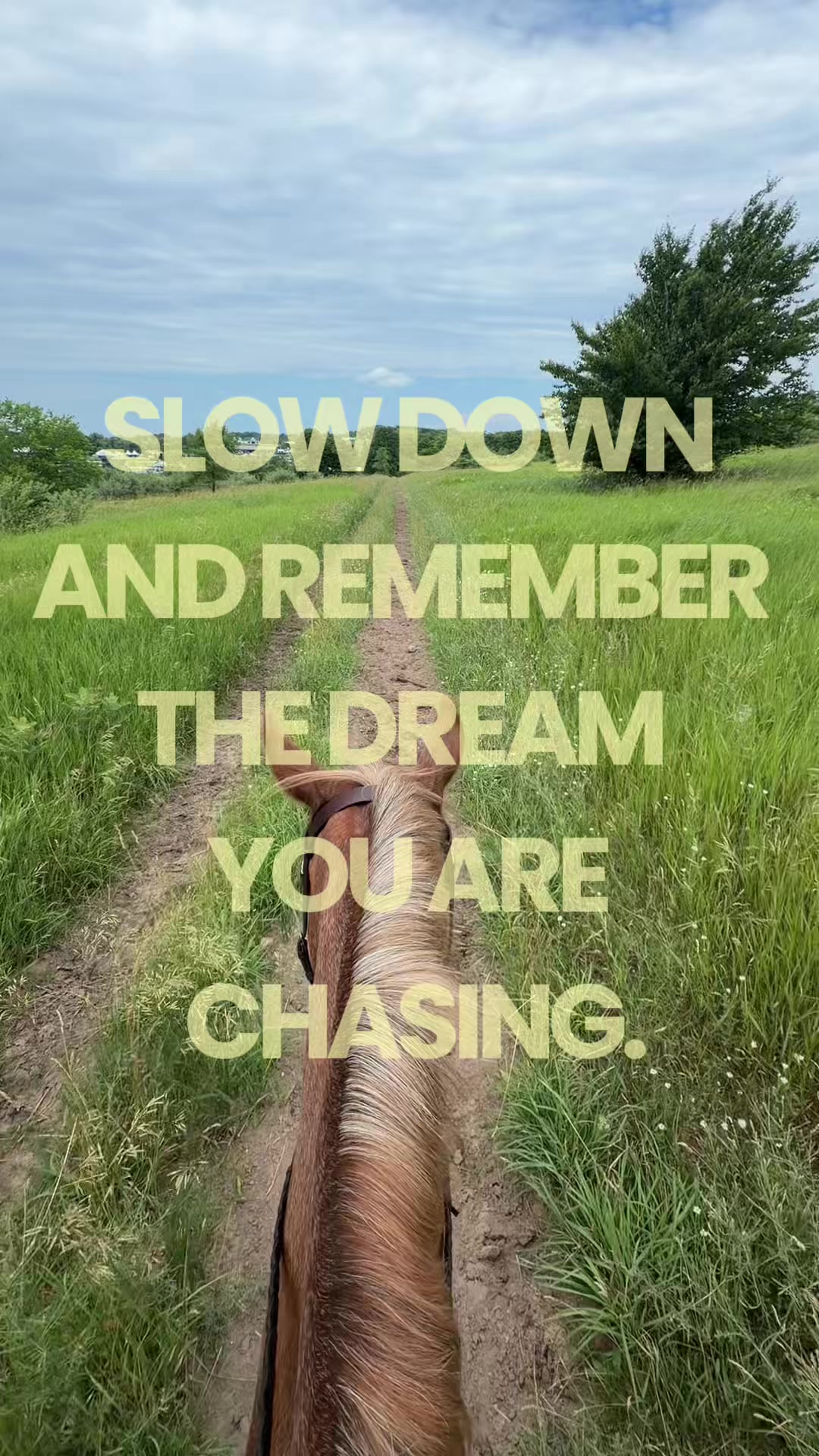 @liz mckenzie✮