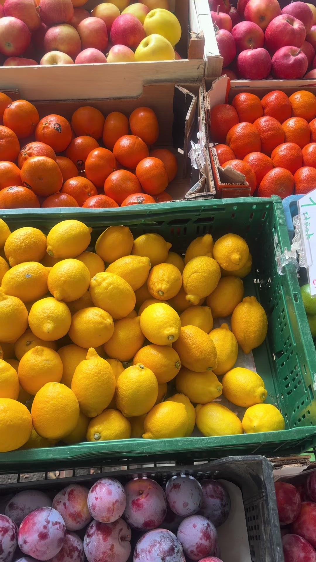 @Osmanli Market