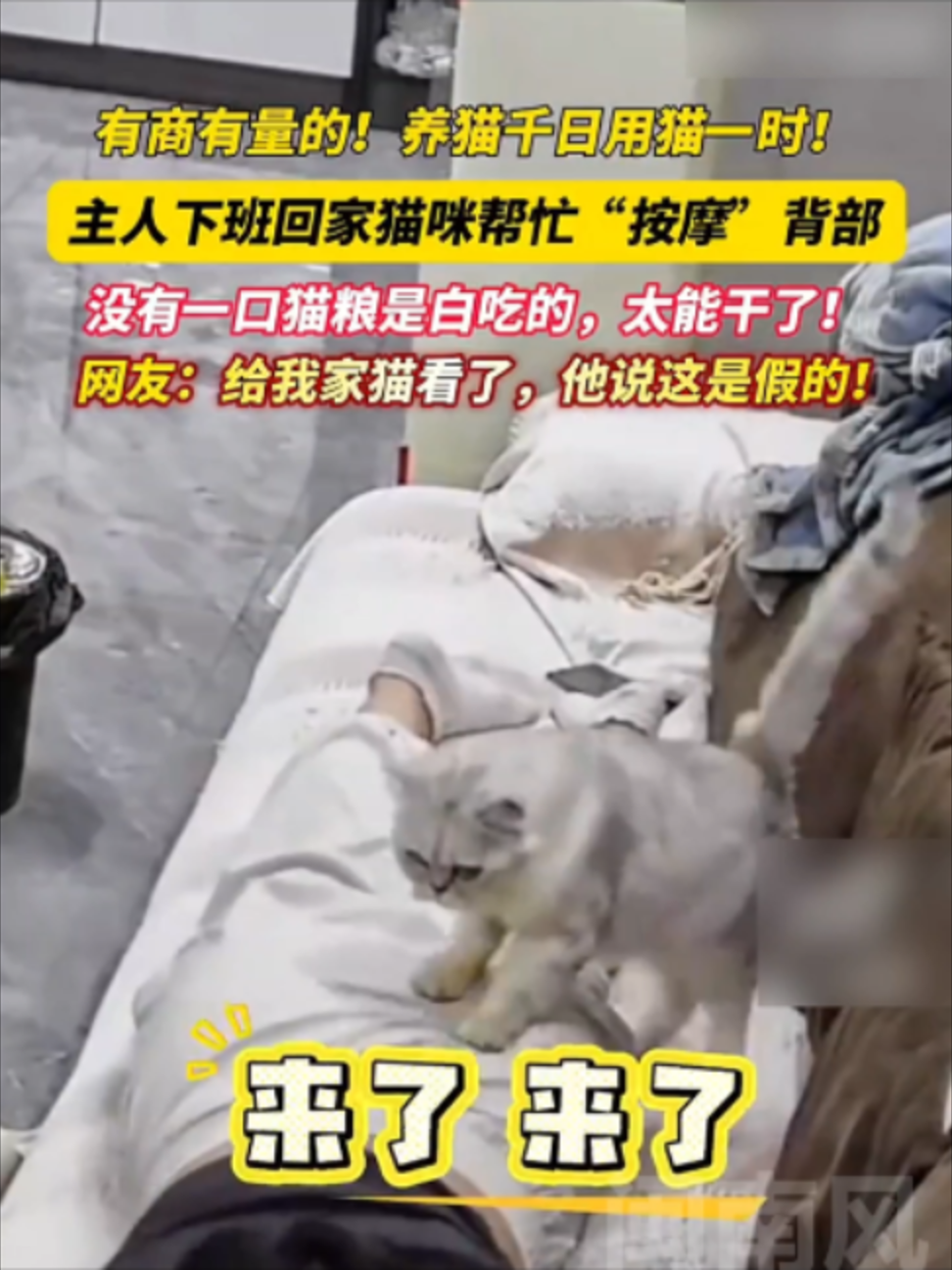 @闽南风~