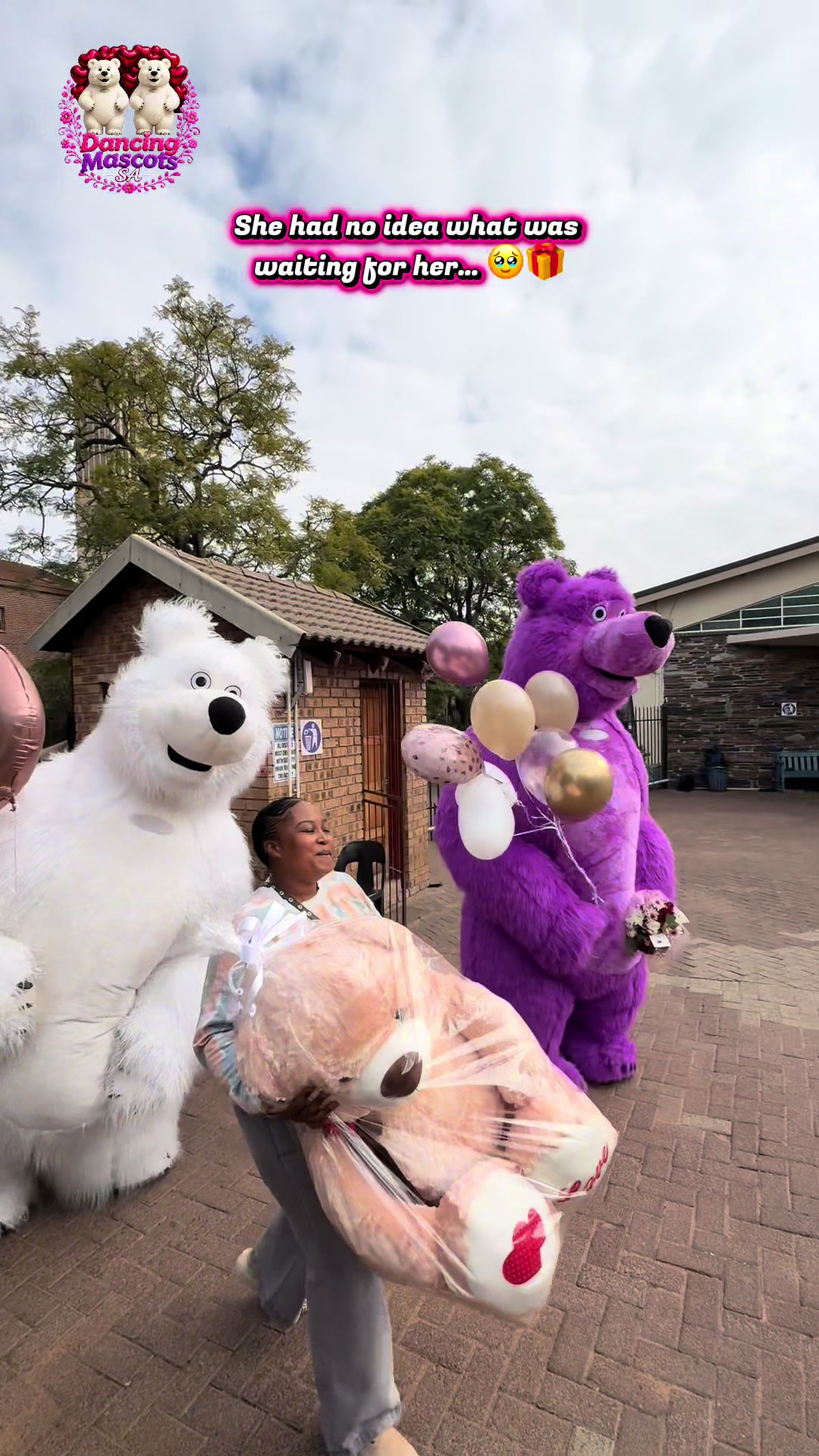 @dancingmascotssa