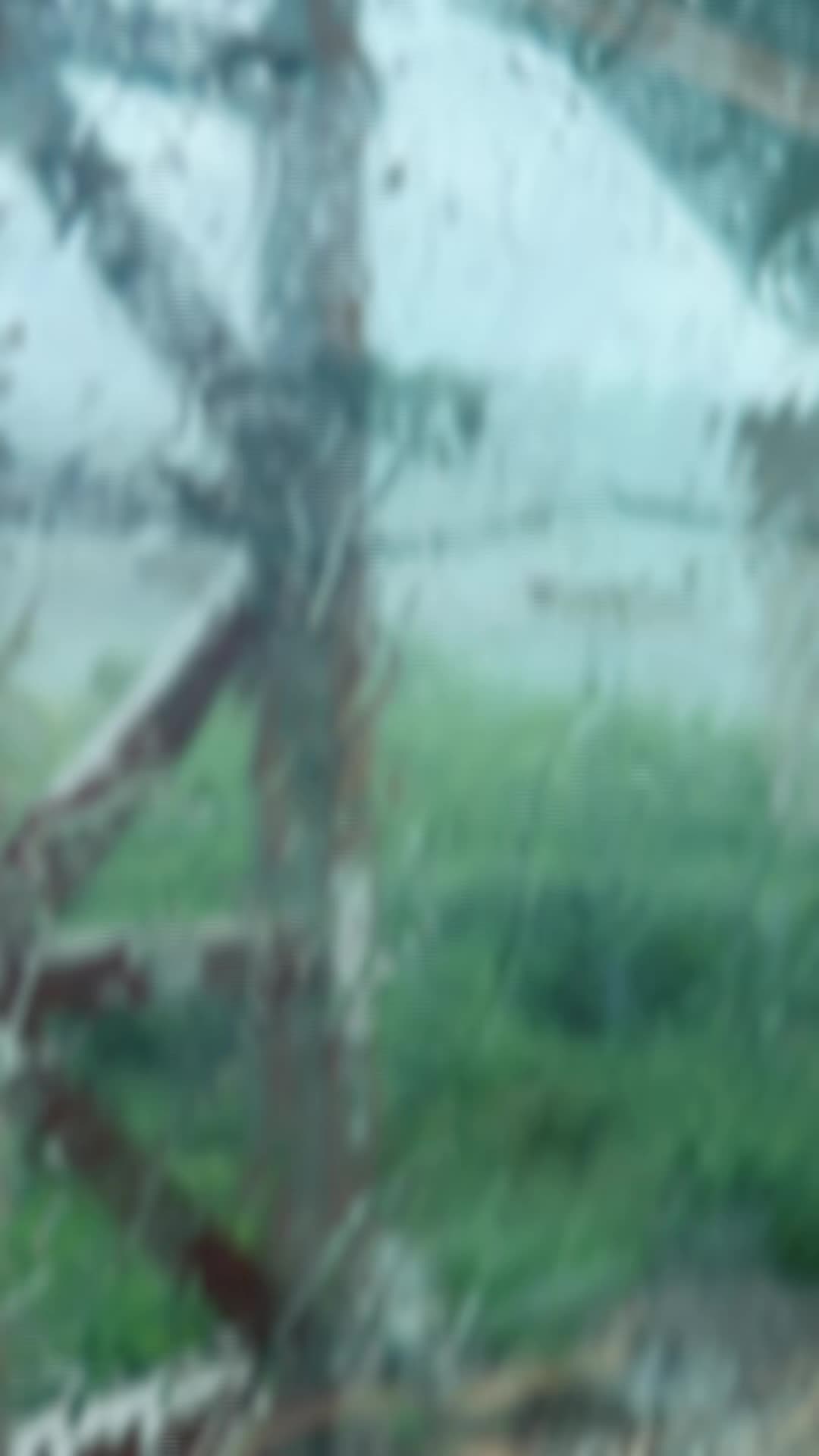 @तिम्रो अशोक