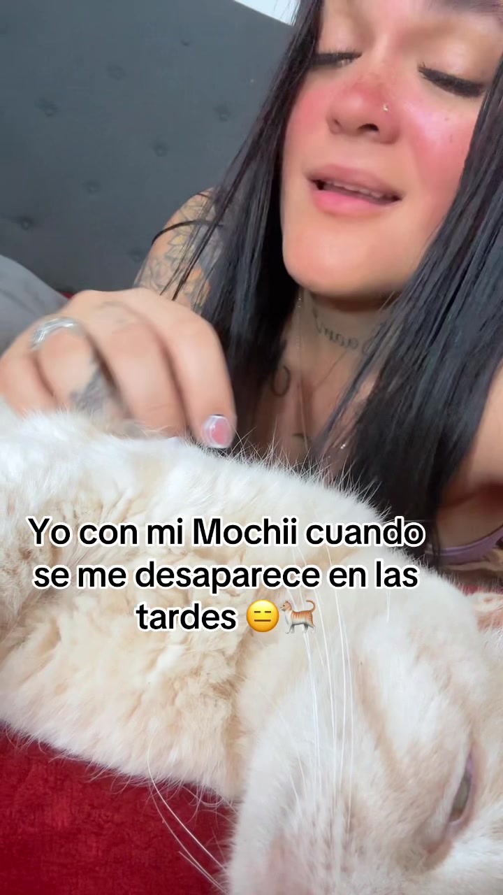 @marcelafregozo0