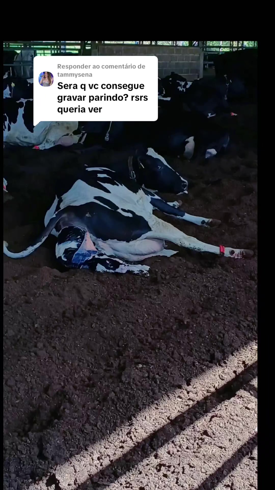 @Vivianne_Gomes_Oficial🌵🦋