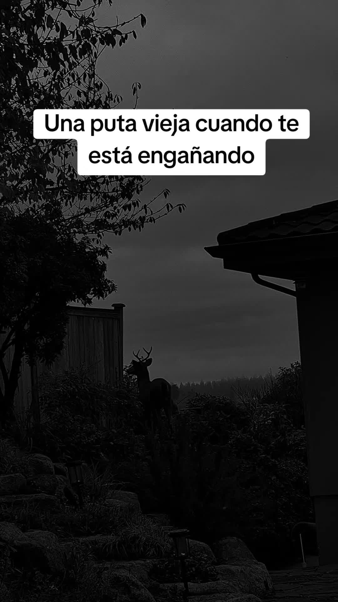 @William Guerra🎭
