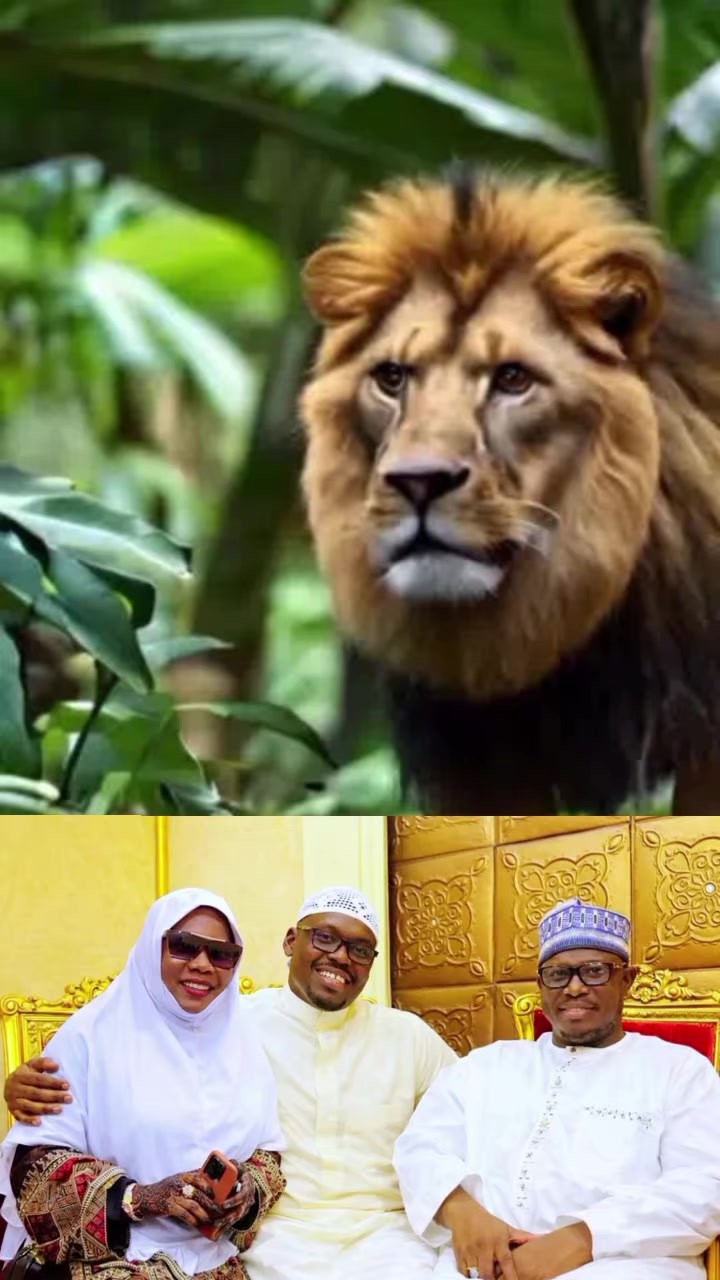 @SAYYADA YAR AMANA ZOOL🇬🇭🇳🇬