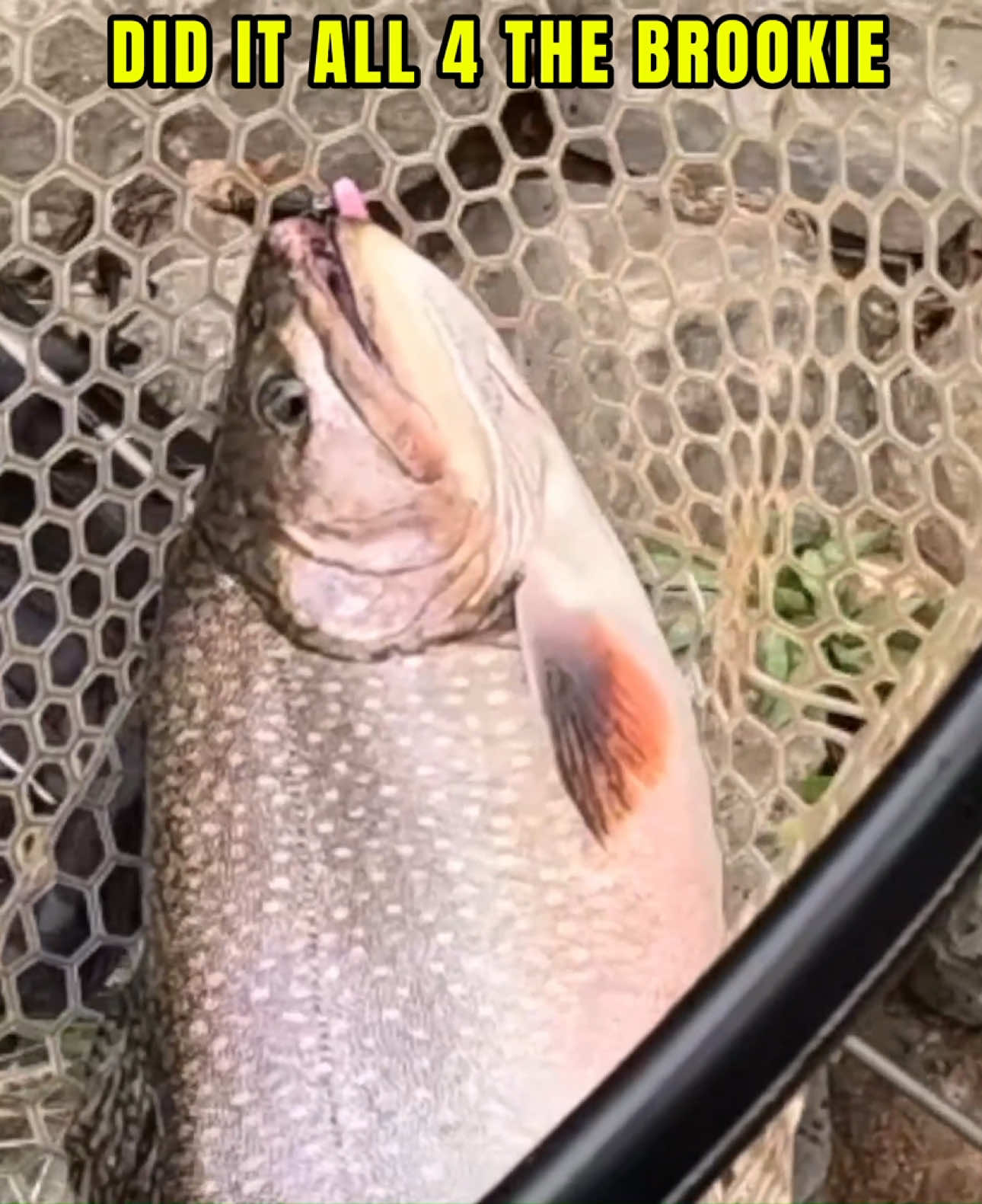 @Rod N Hand Fishing