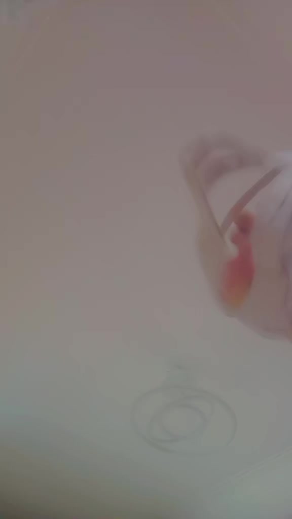 @s̆̈ă̈l̆̈m̆̈ă E͛L͛S͛H͛A͛B͛ASY