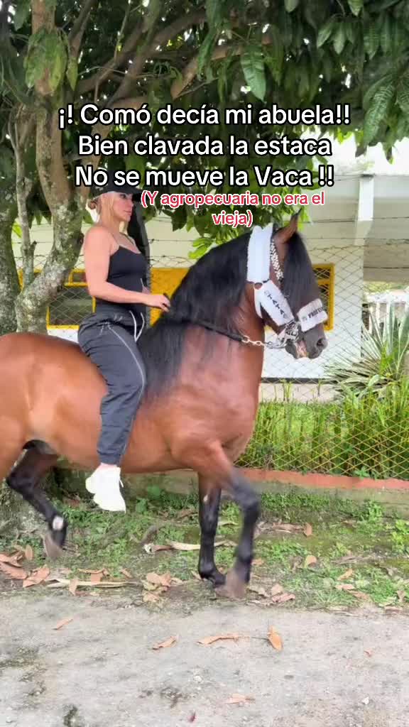 @🐴TATA🐴 🐴PROFESOR DEJM🐴