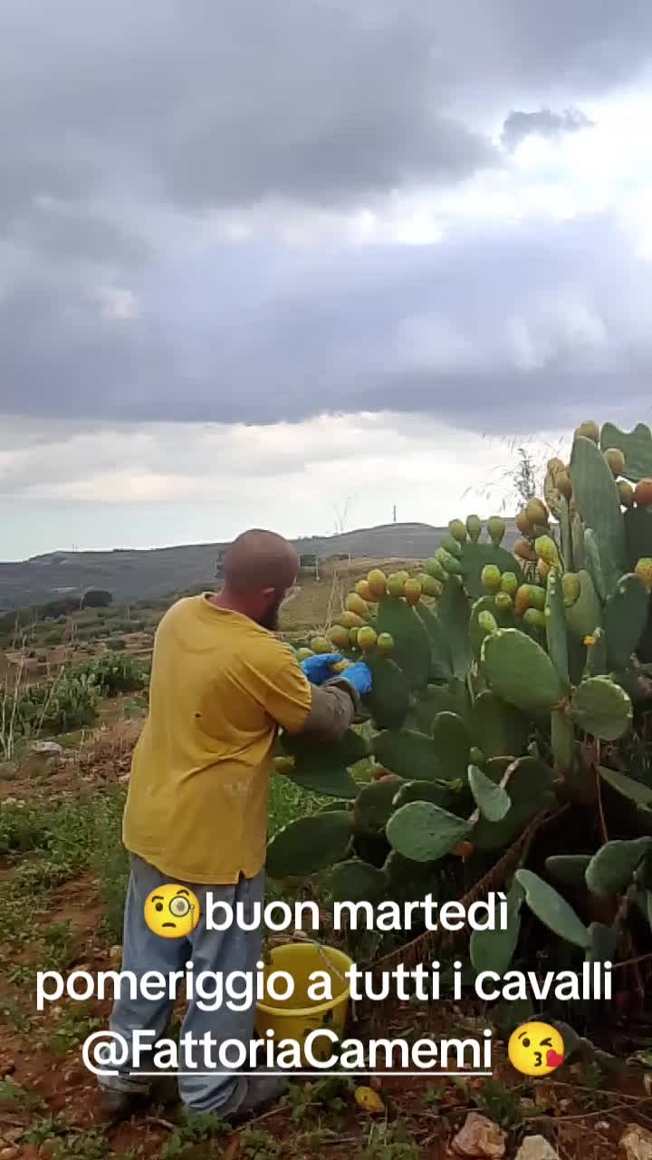 @Stefano Zagara
