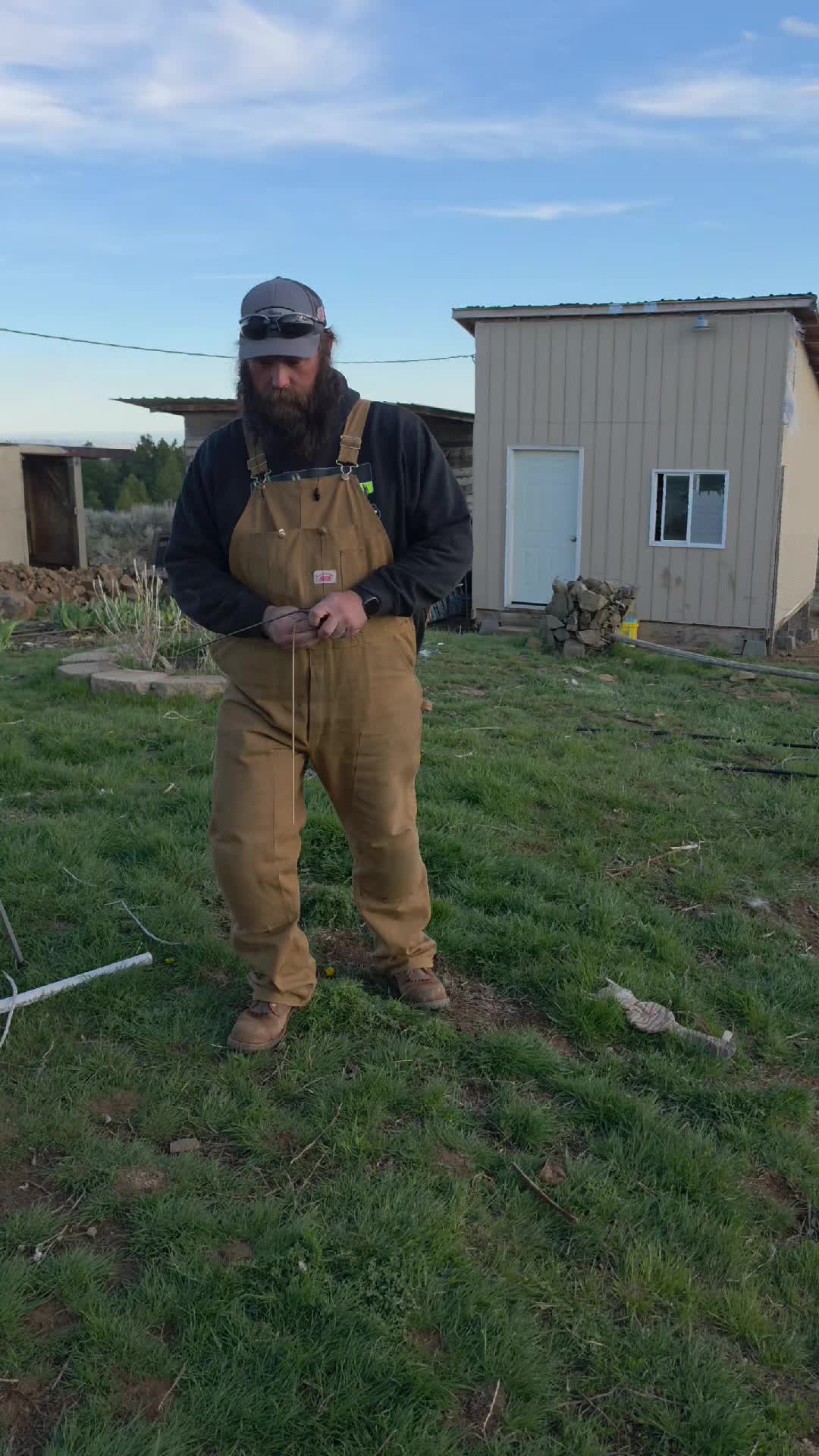 @thebeardedfamily1