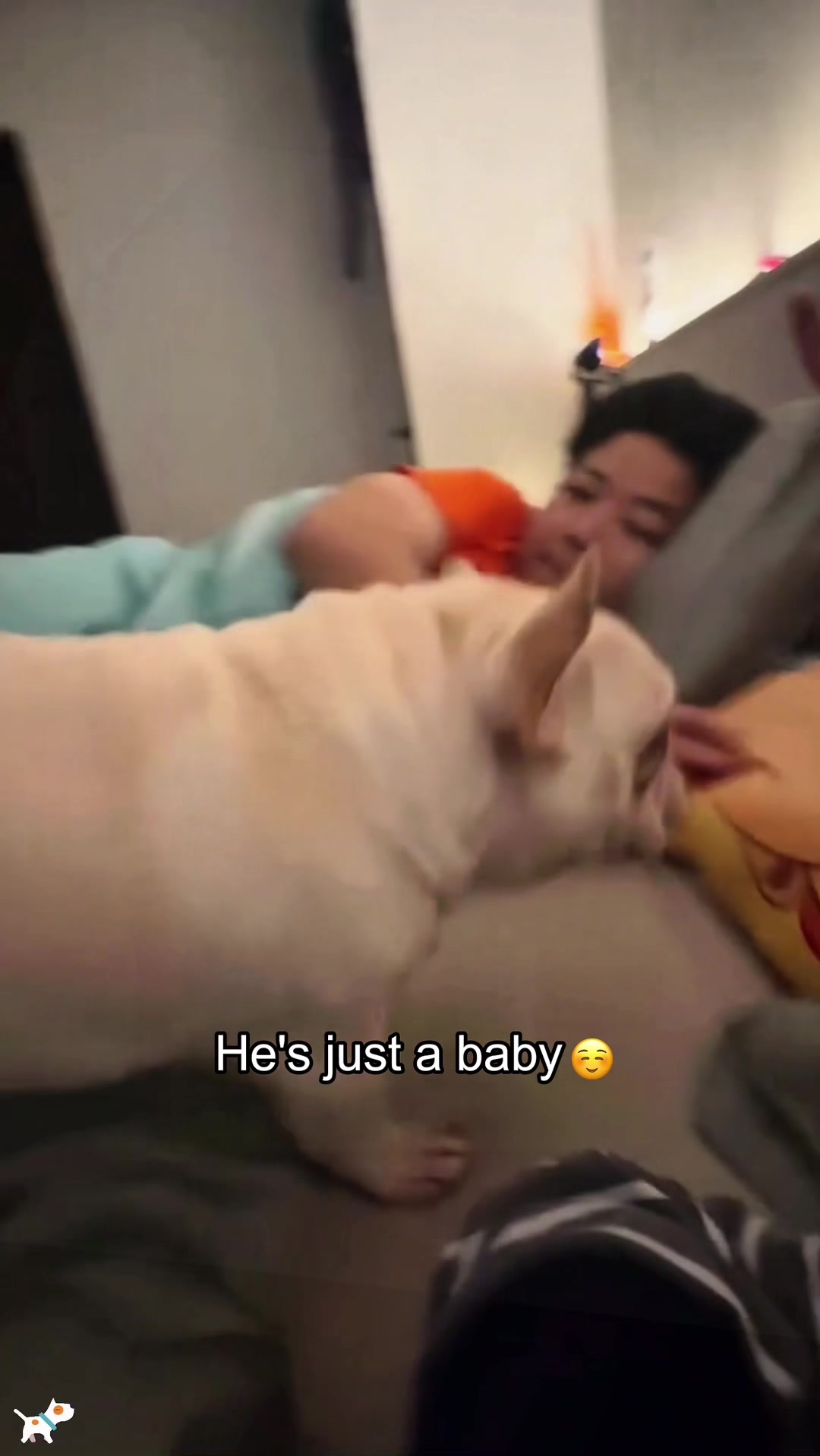 @SneakyFails