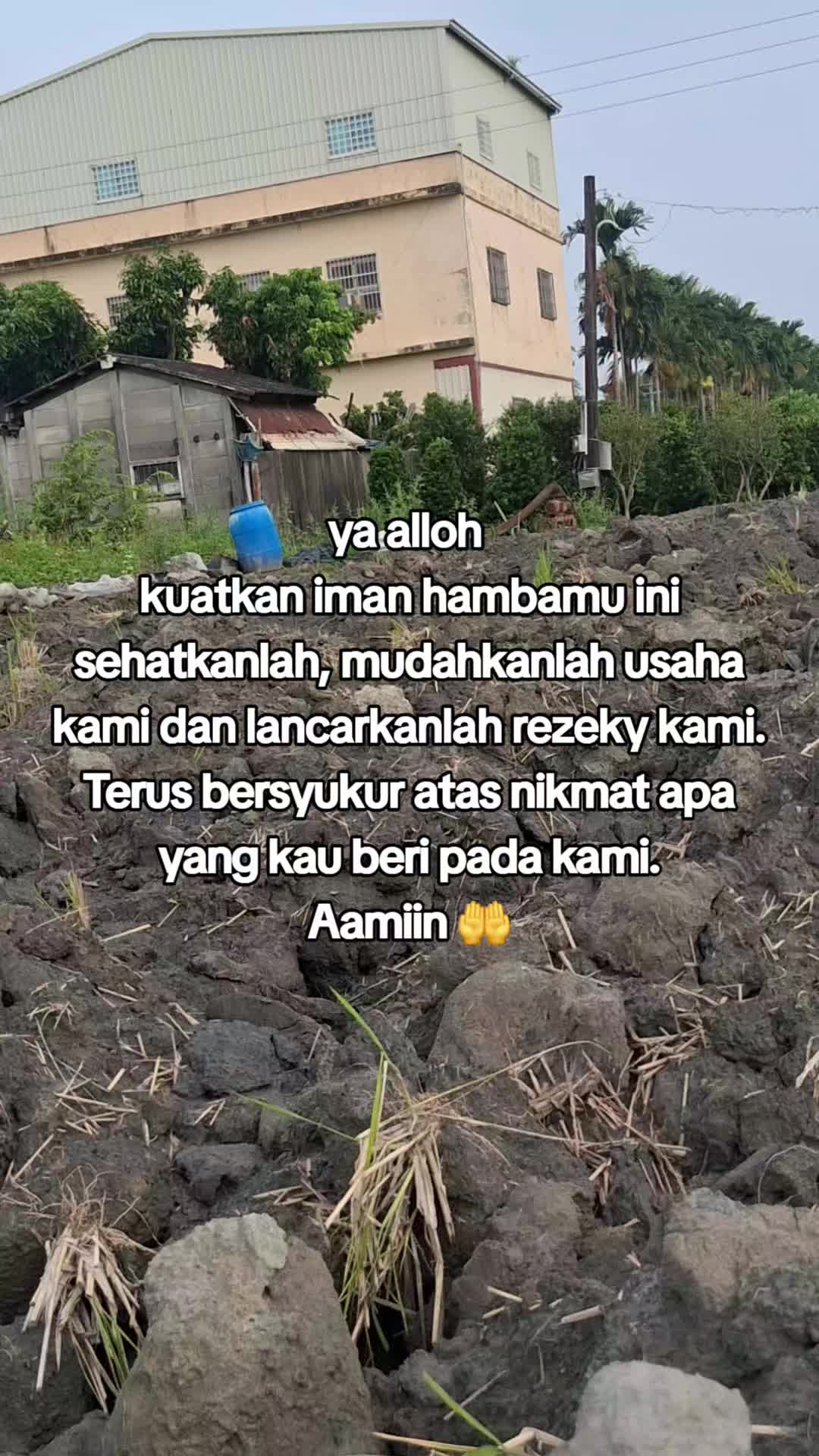 @Munasaroh