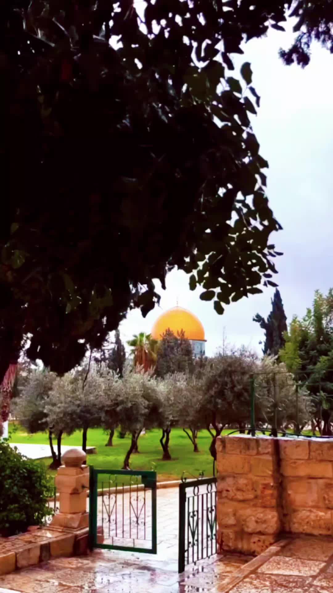 @islamic videos↗️