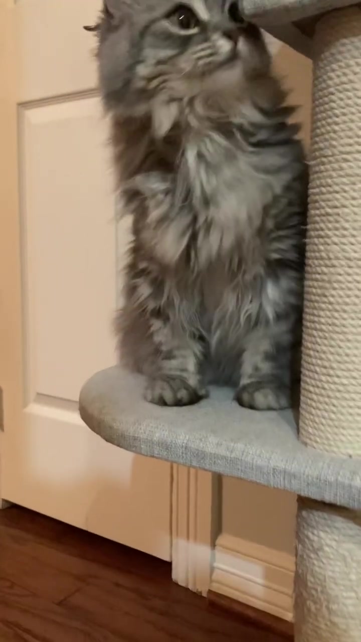@kiki.andsugar