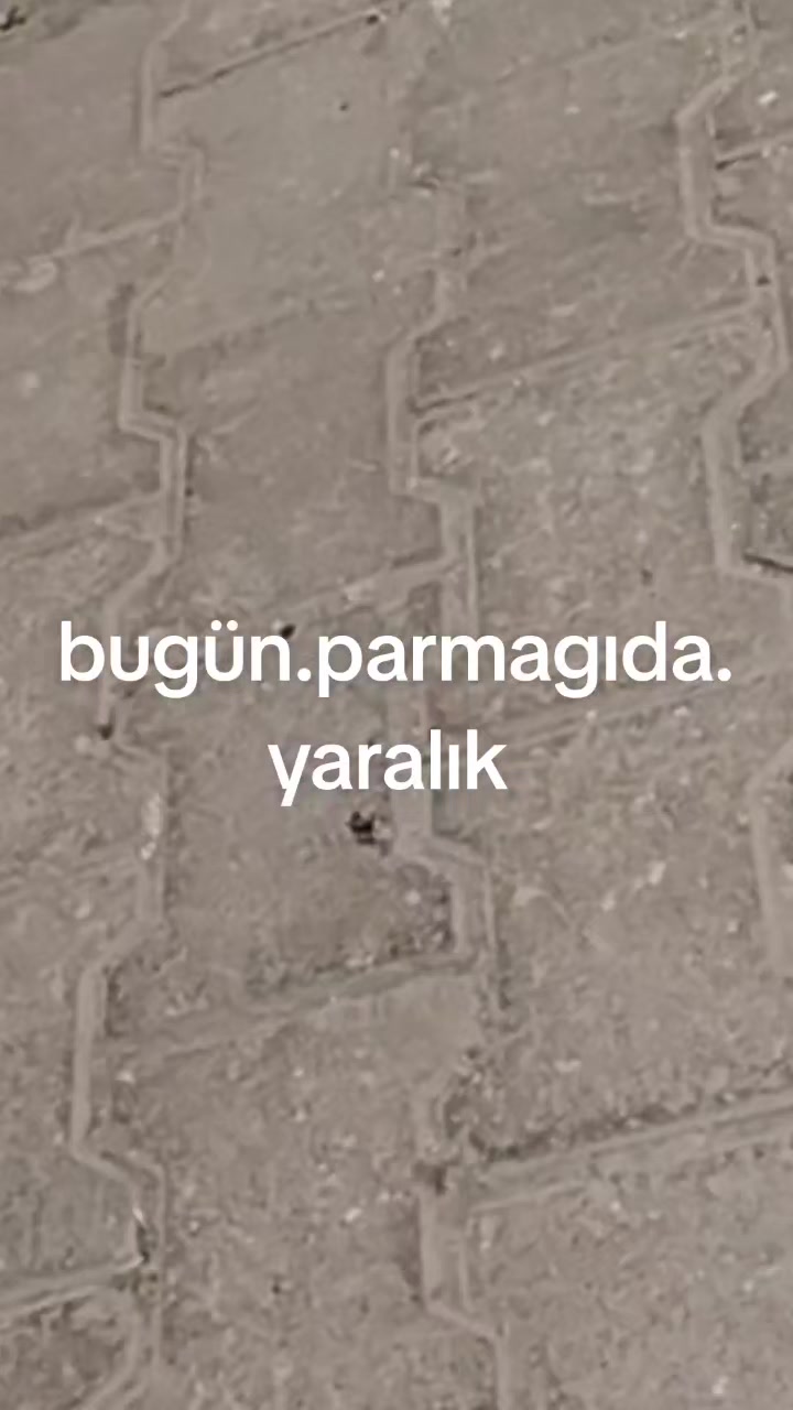 @Veysel Öztezcan
