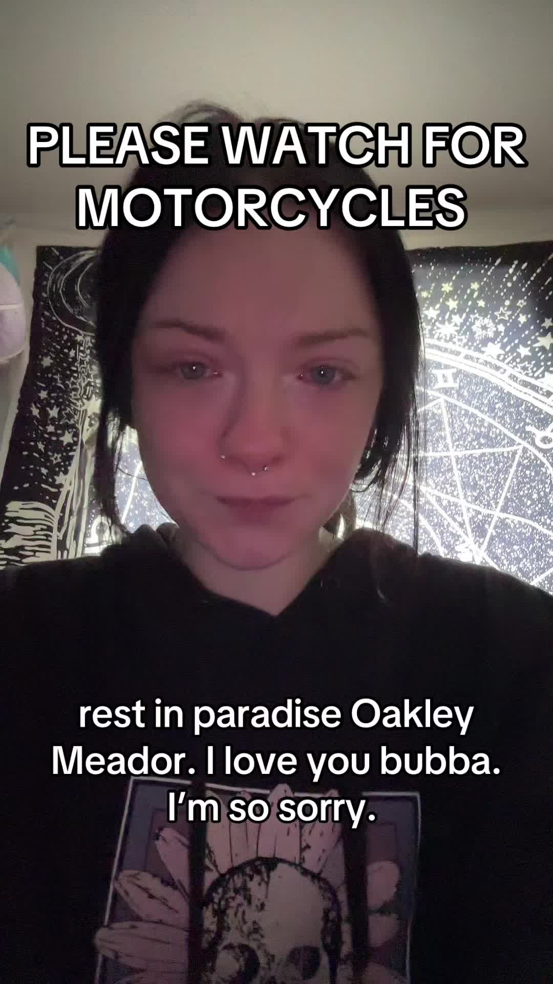 @haloheadbangs