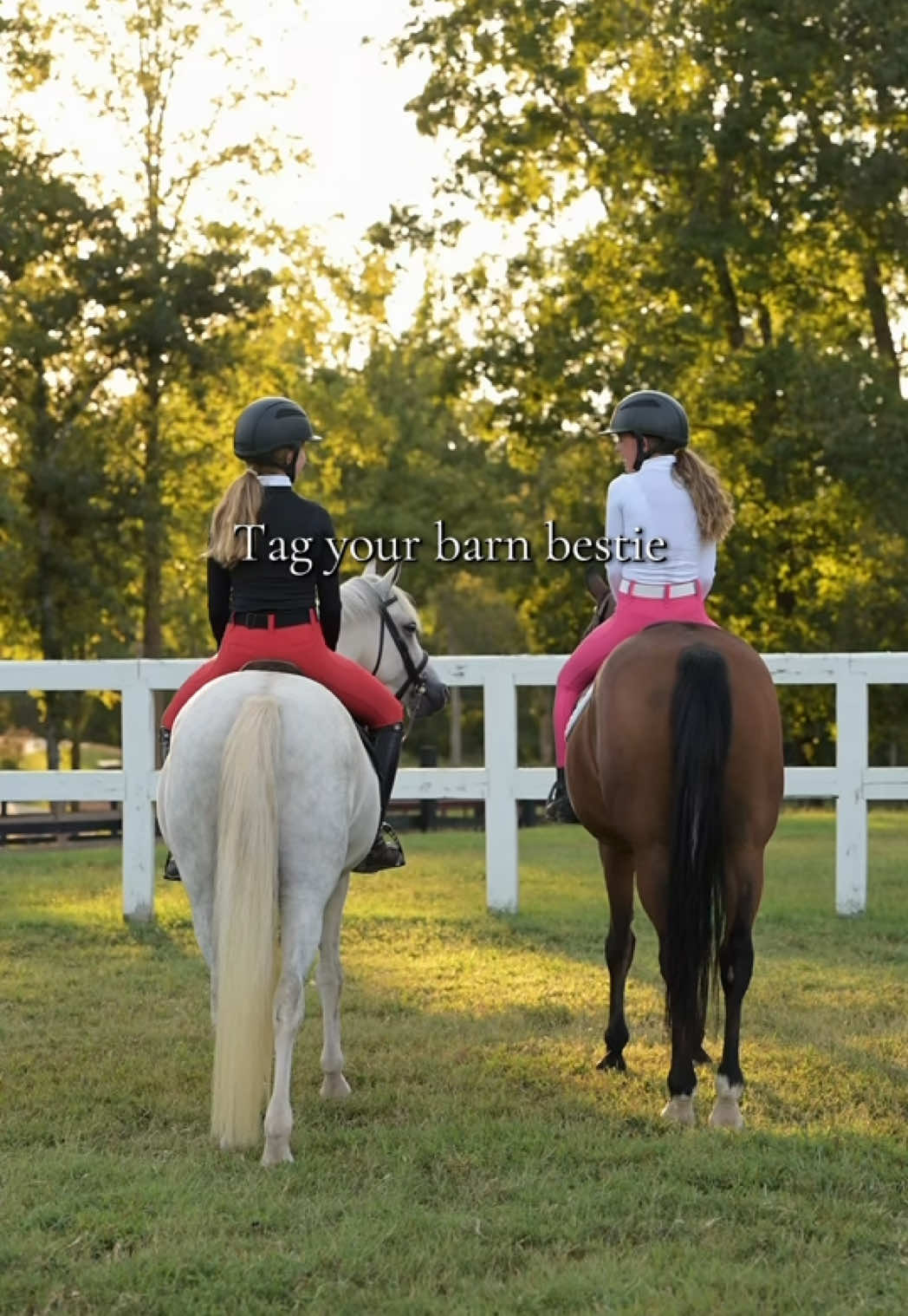 @Free Ride Equestrian