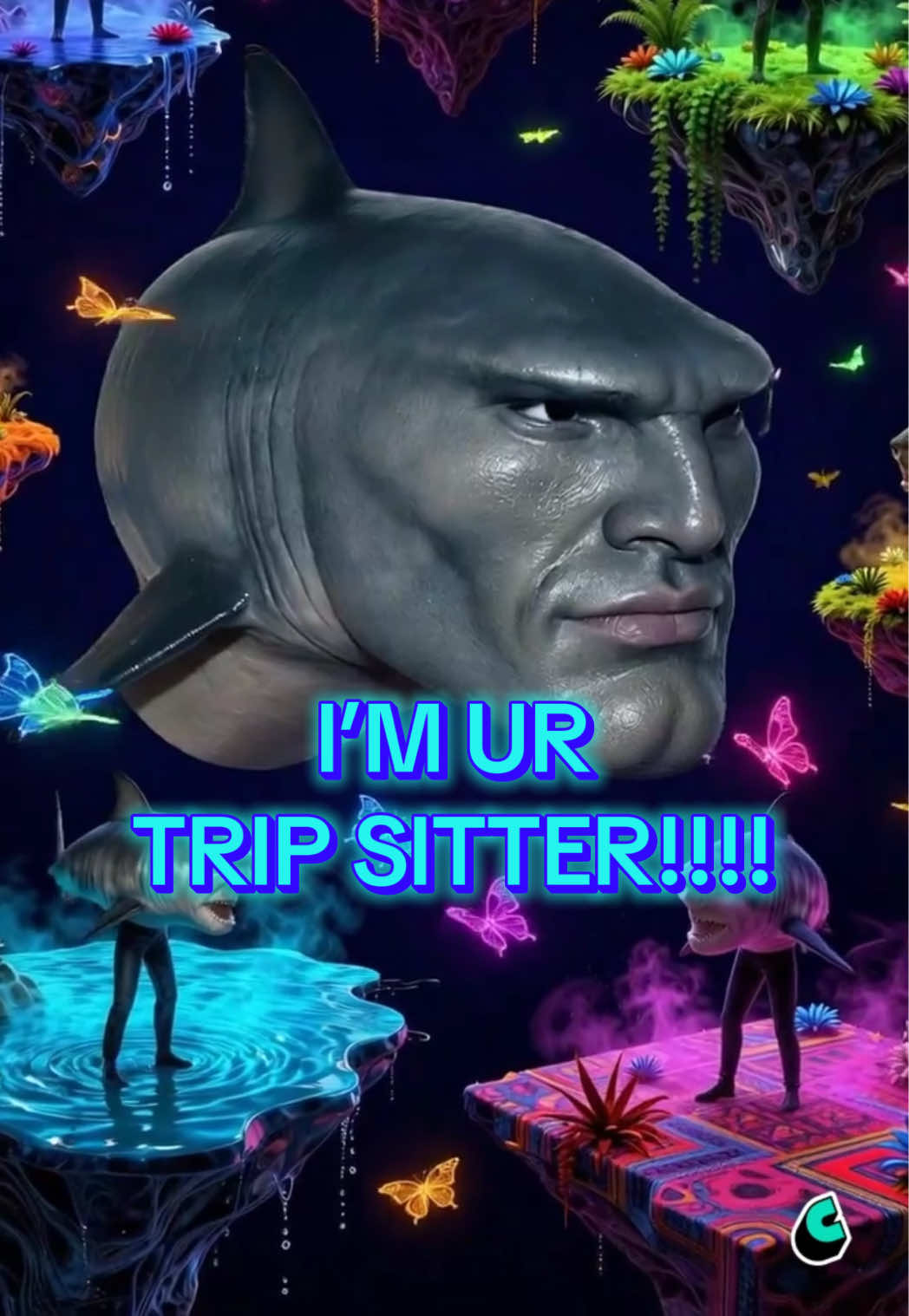 @divasharkmemes