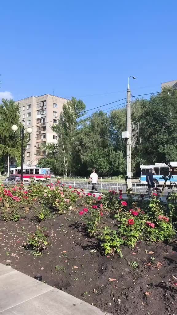 @ПСЫЖ_НАСТОЯЩИ