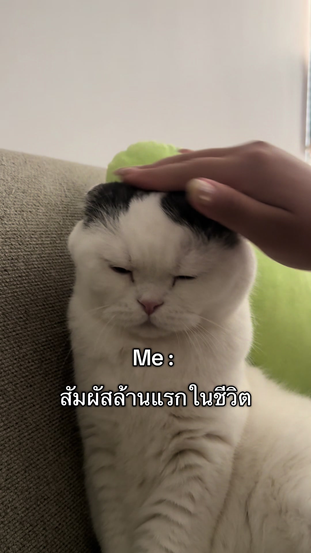 @เยอร์เก้นอยากเป็นดารา