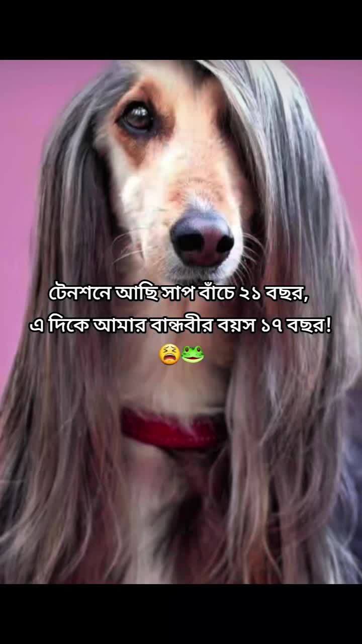 @Mᴀʀᴜғ Bɪʟʟᴀʜ 🌱