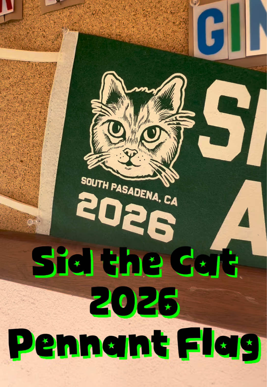 @˗ˏˋ Sid The Cat ˊˎ˗