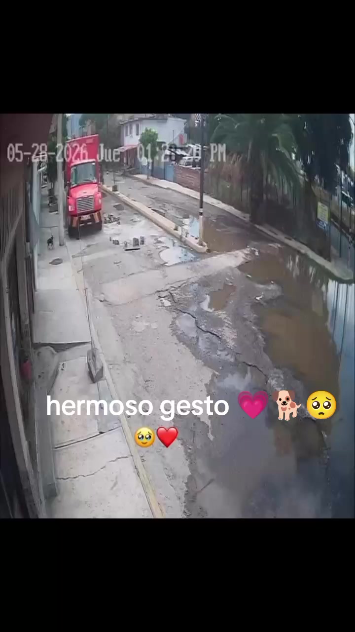 @varcan❤️