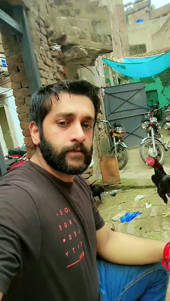 @shan Shah 222