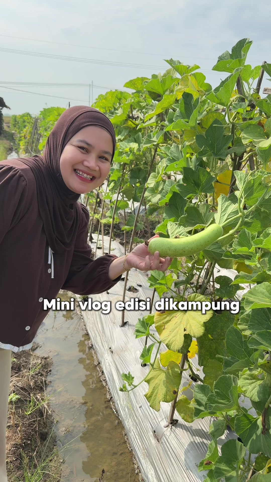 @Yus May Sya (Mpo Ocha)