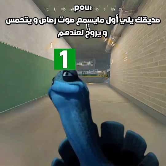 @xXxزيرو/𝚉𝙴𝚁𝙾꧂