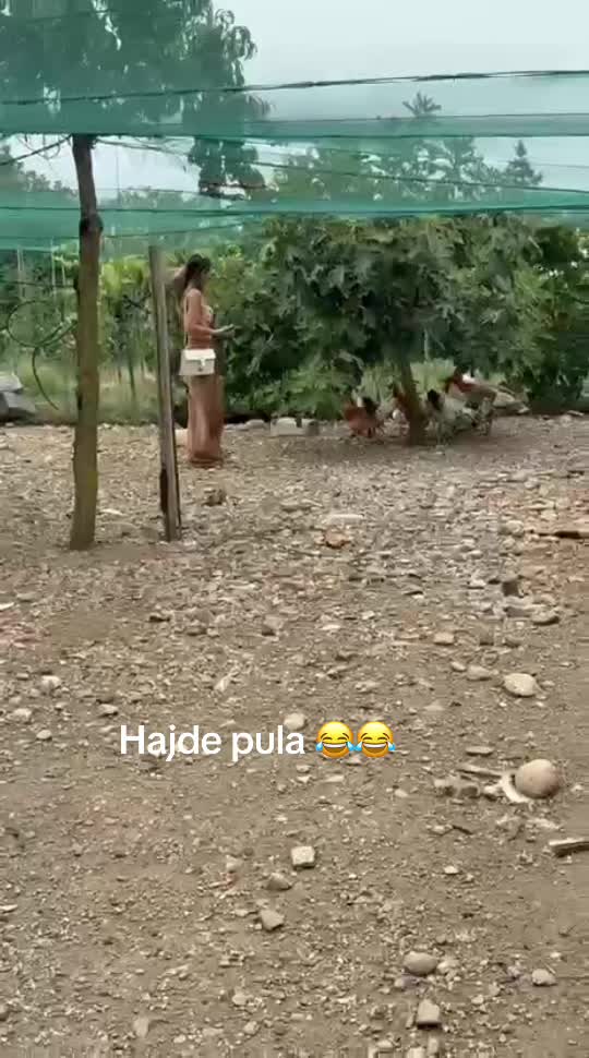 @lilisui22