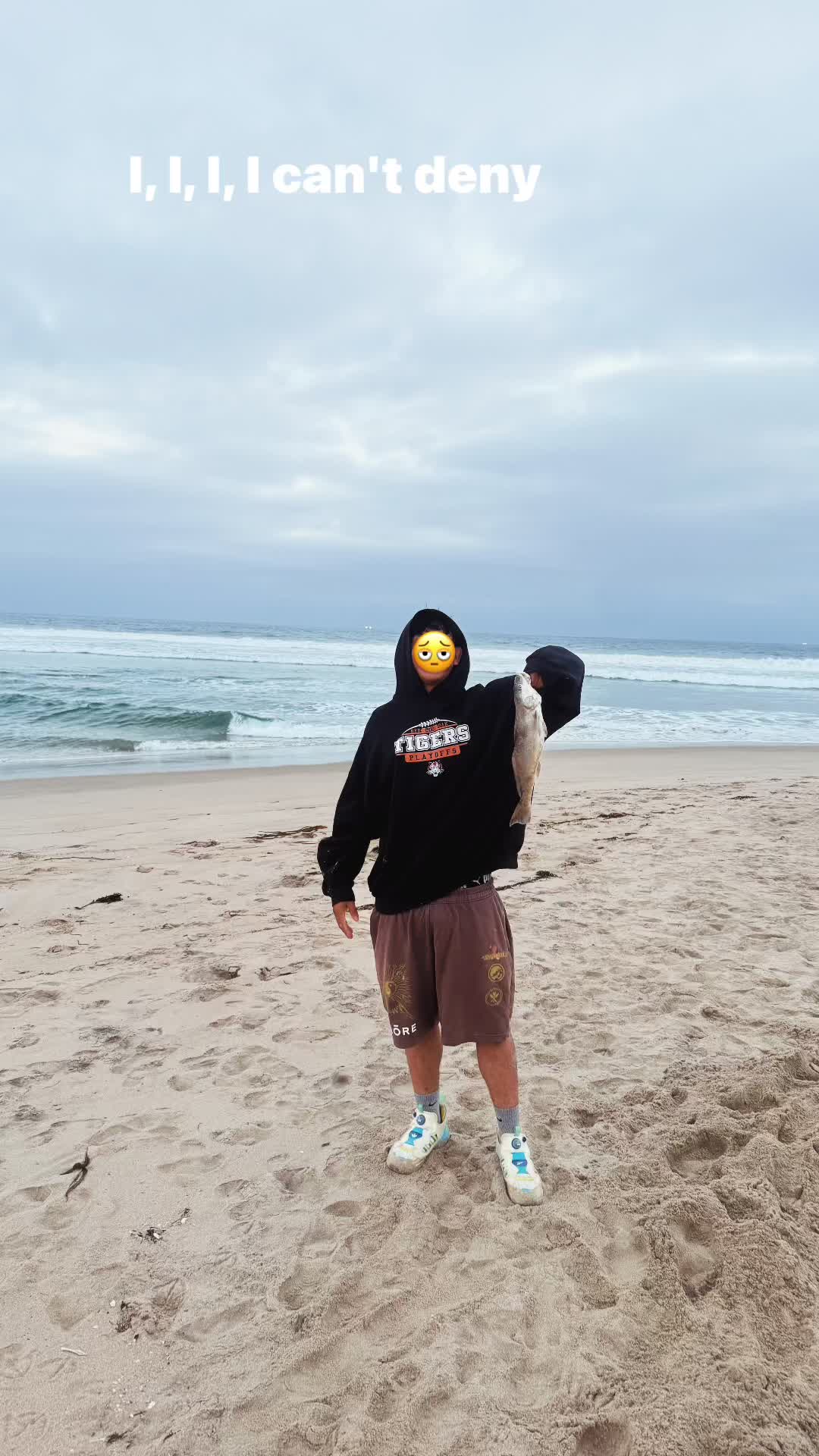 @Cuervo 🐦⬛