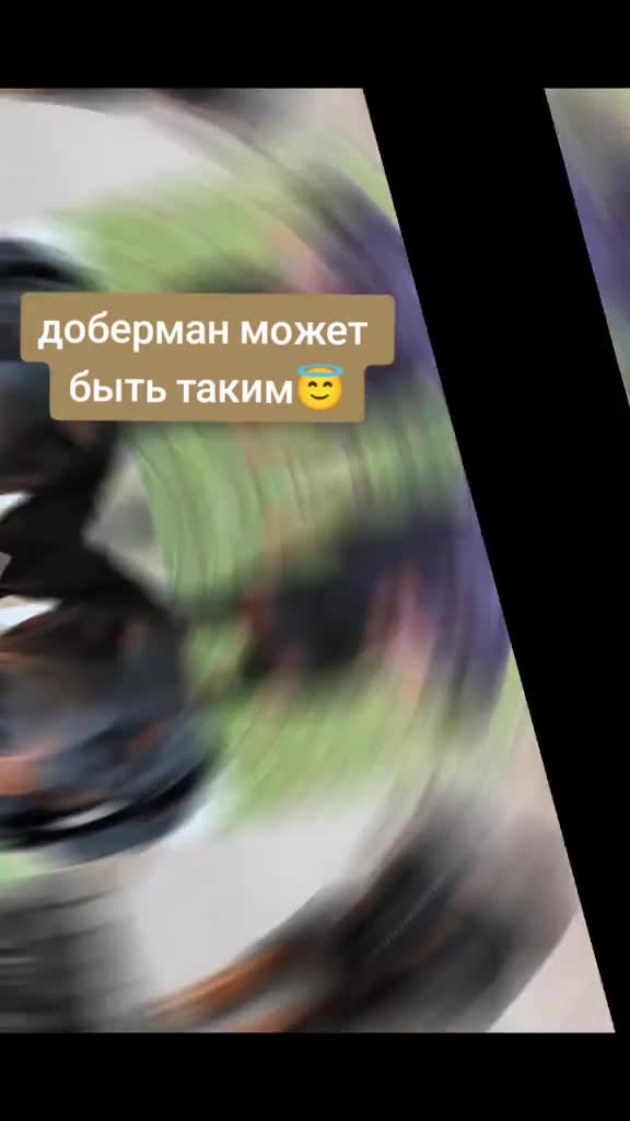 @̴Д̴О̴Б̴Е̴Р̴М̴А̴Н ̴А̴Л̴Ь̴М̴А🖤