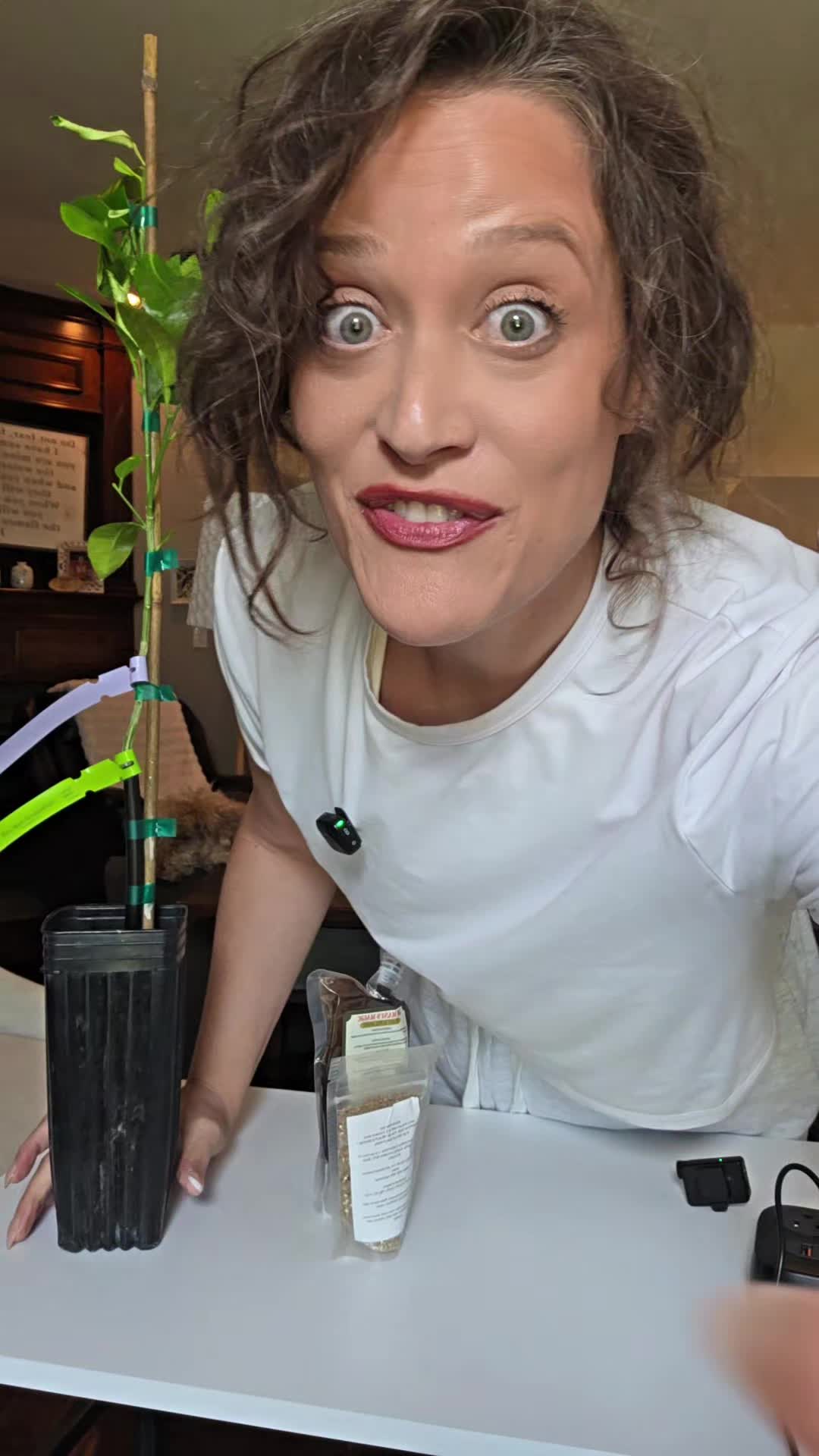 @SillyGoose