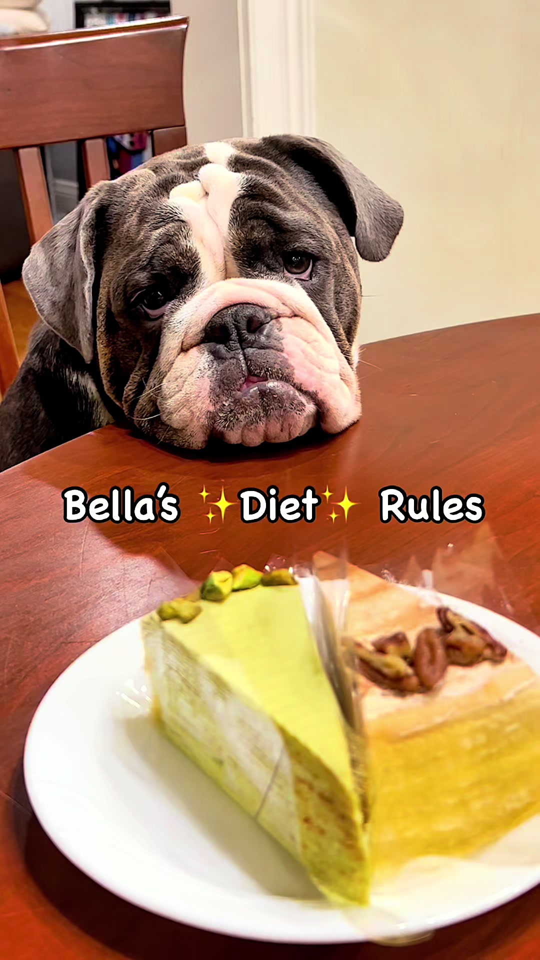 @ChubbynBella
