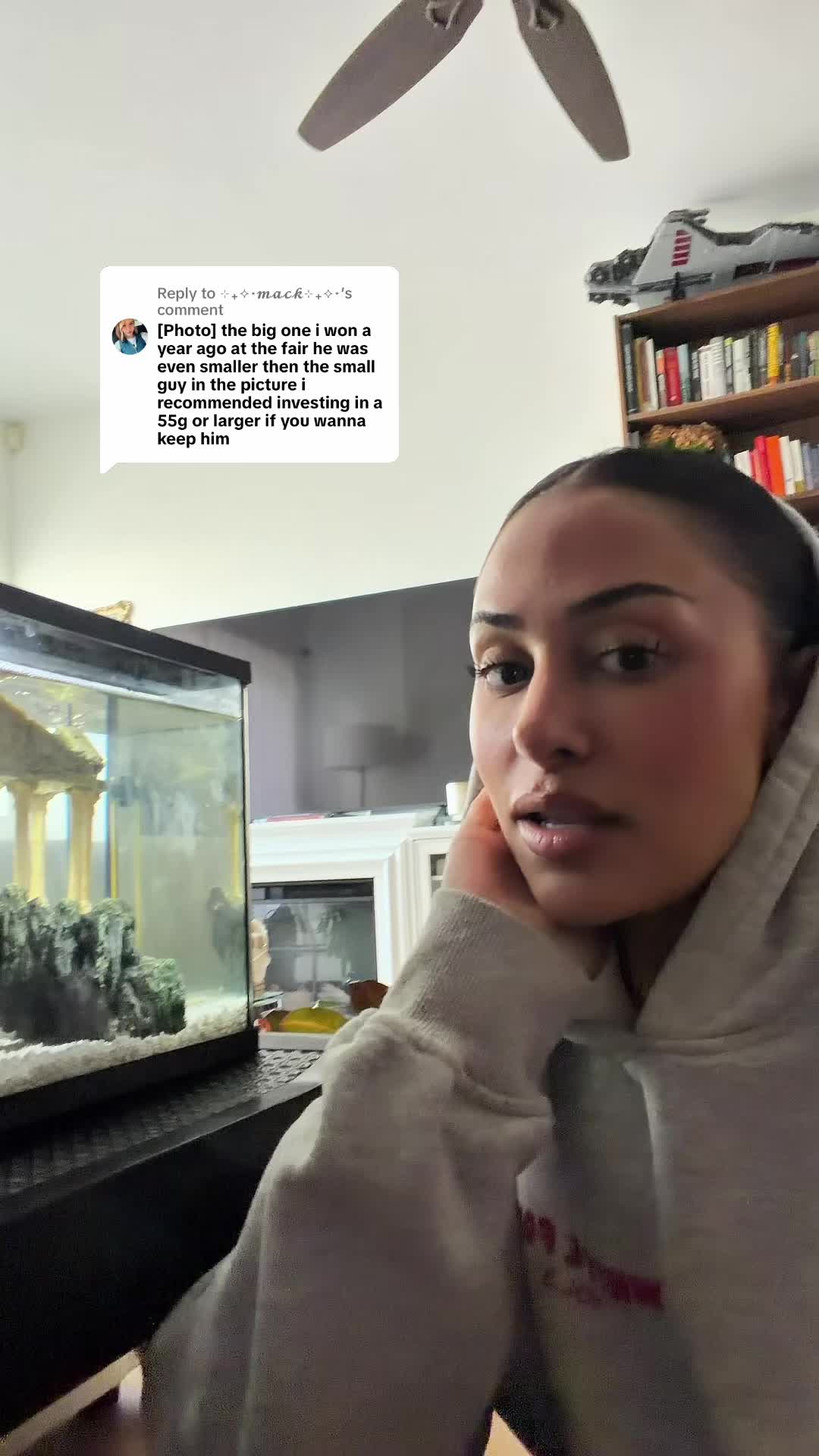 @Noelle 🦢