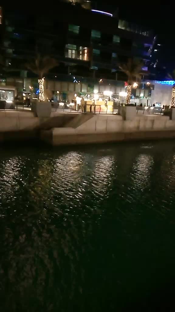 @حکیم ملک سبطین🇧🇭