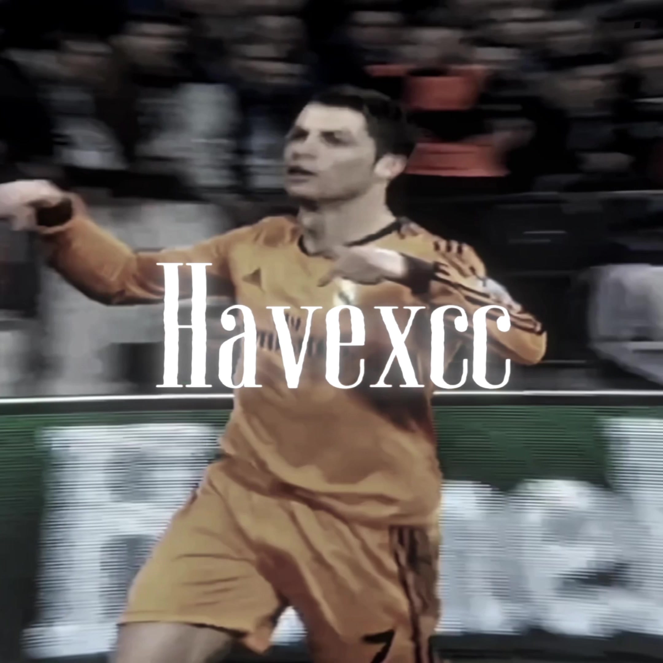@Havexcc