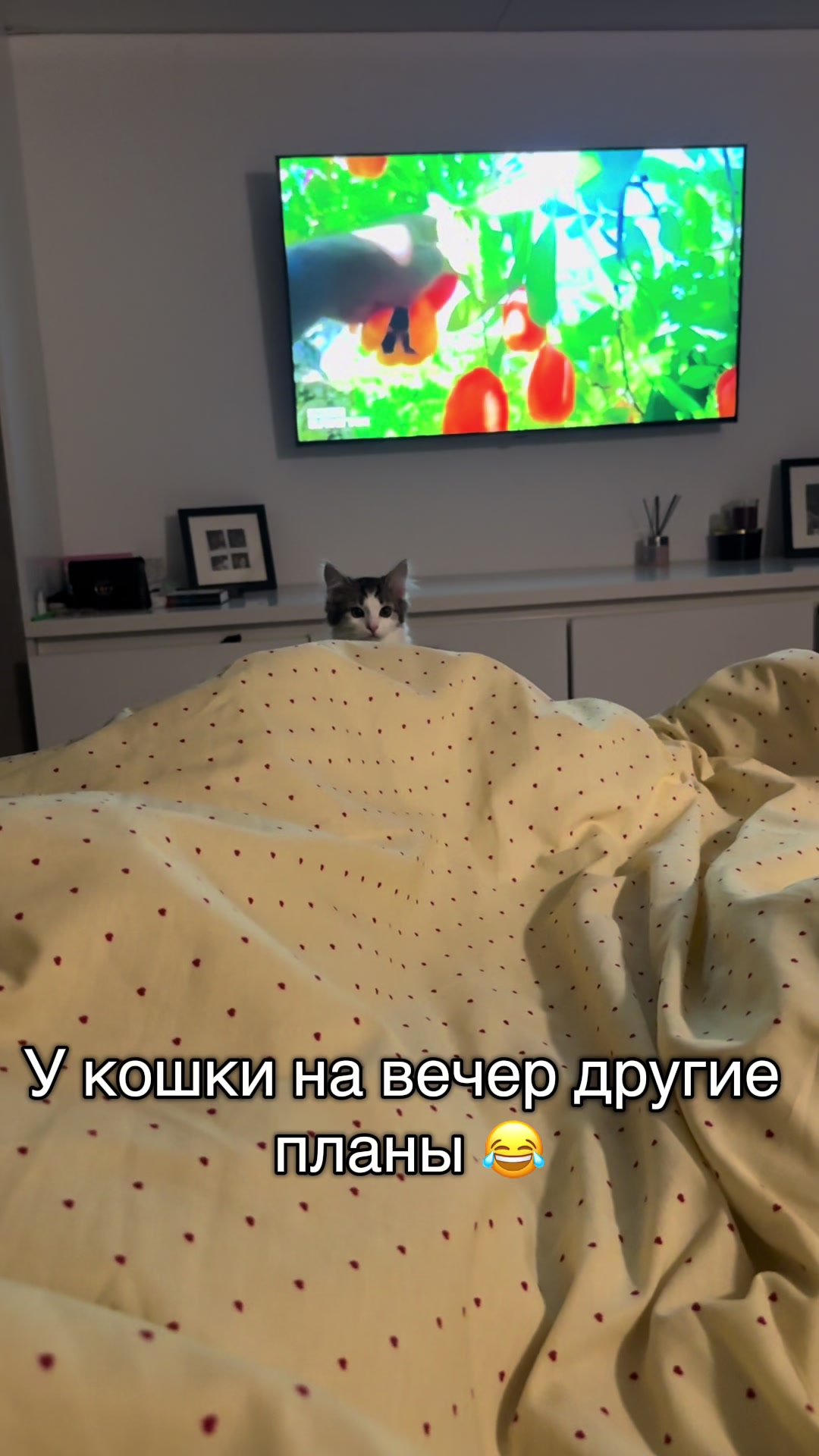 @Nastya 👱🏽♀️