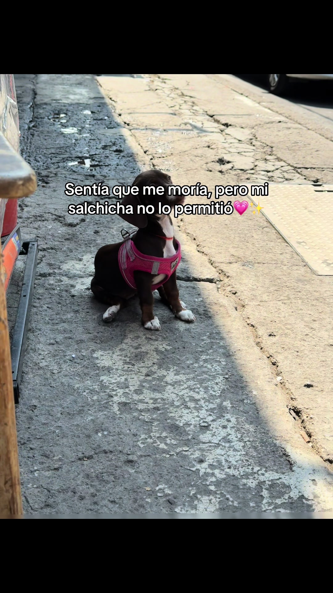 @Yamileth Ramírez