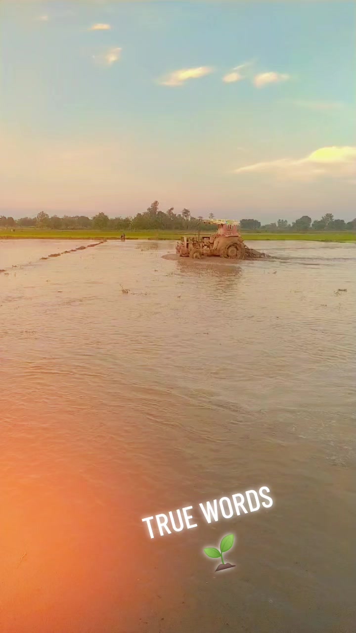 @Aلi SUلEHRI 🚩