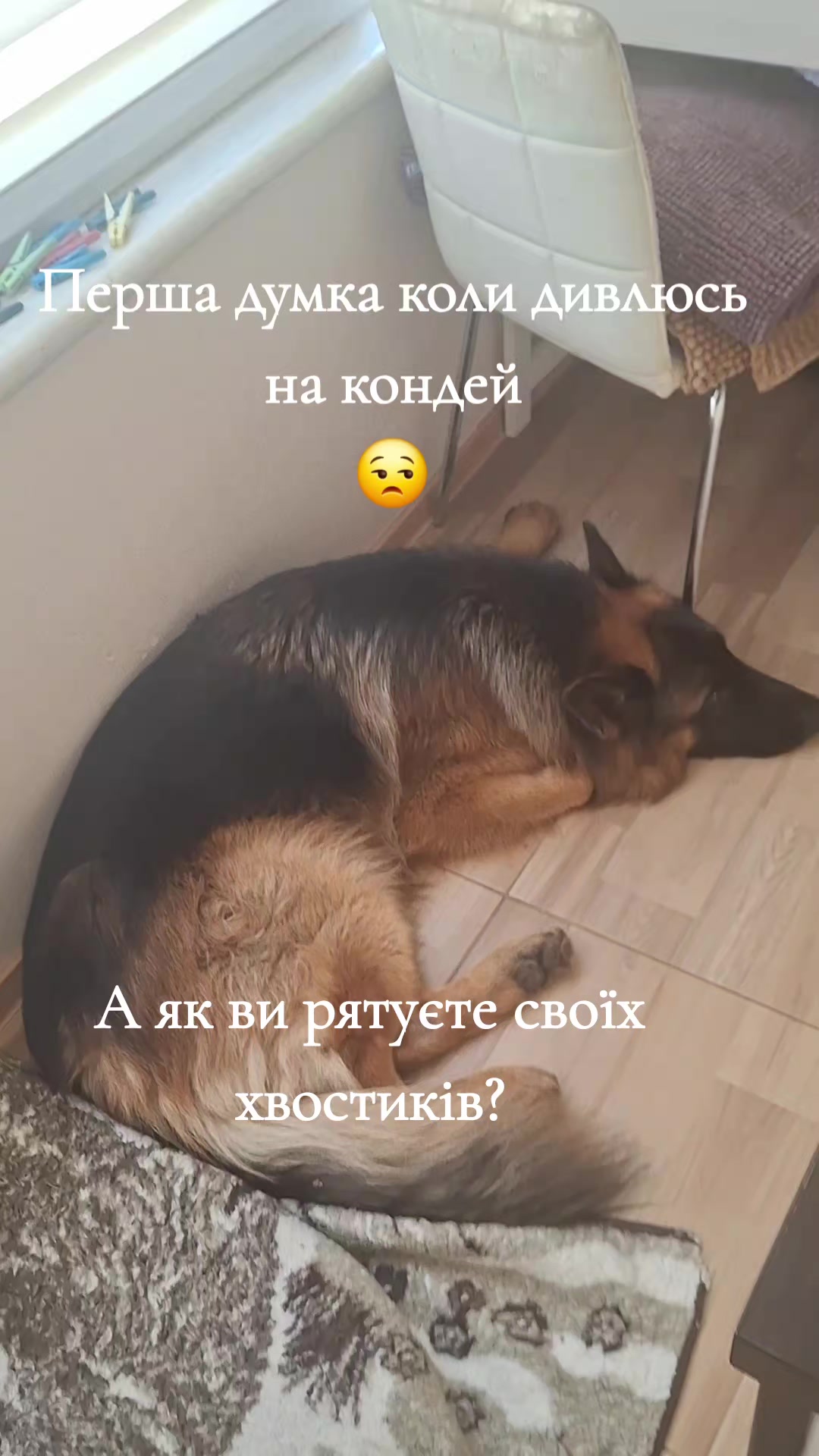 @МАТЬ ДРАКОНІВ🤣
