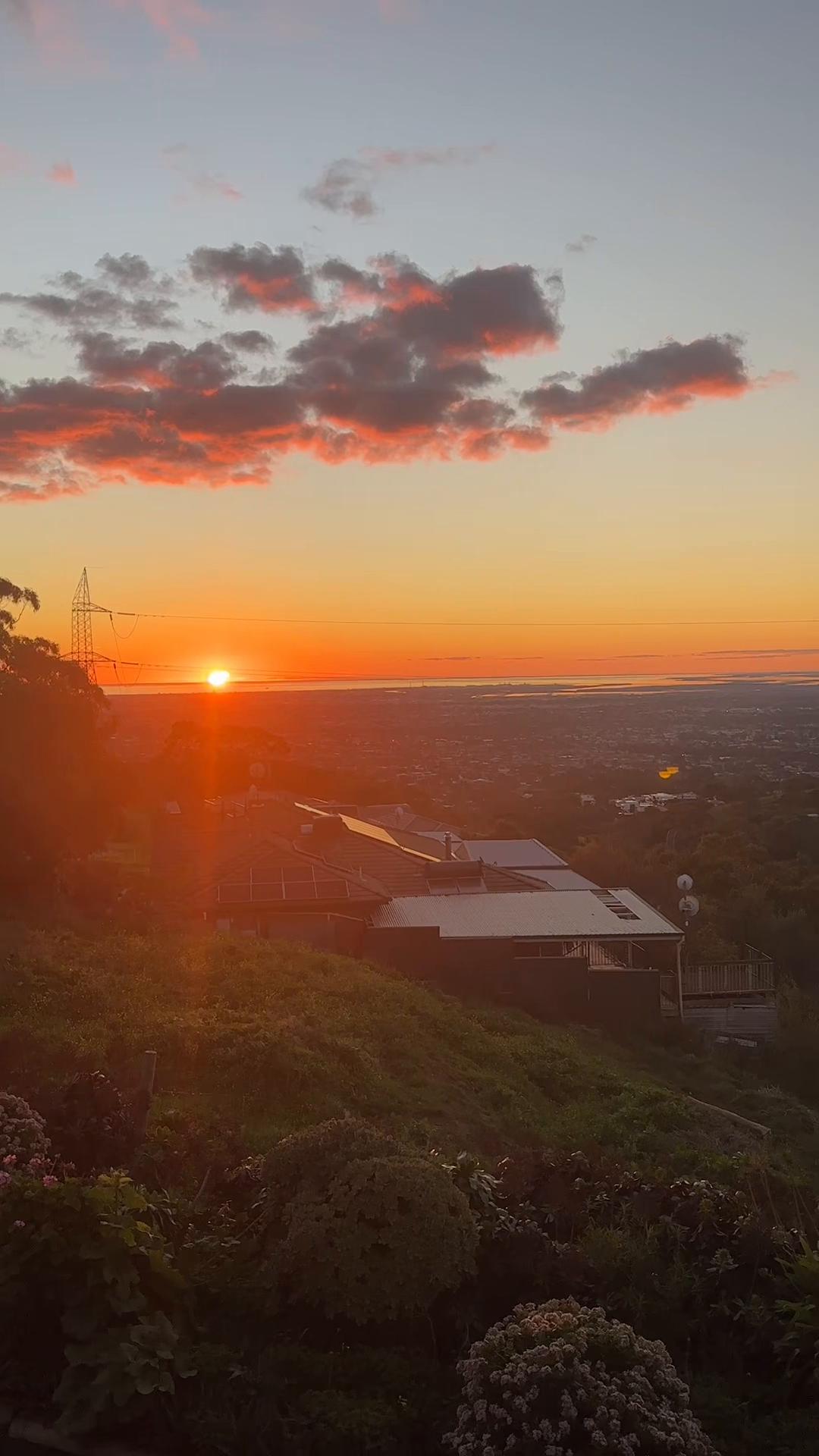 @SmileySam 🇦🇺