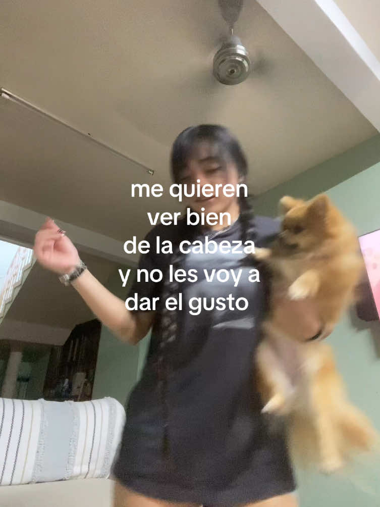 @chopi
