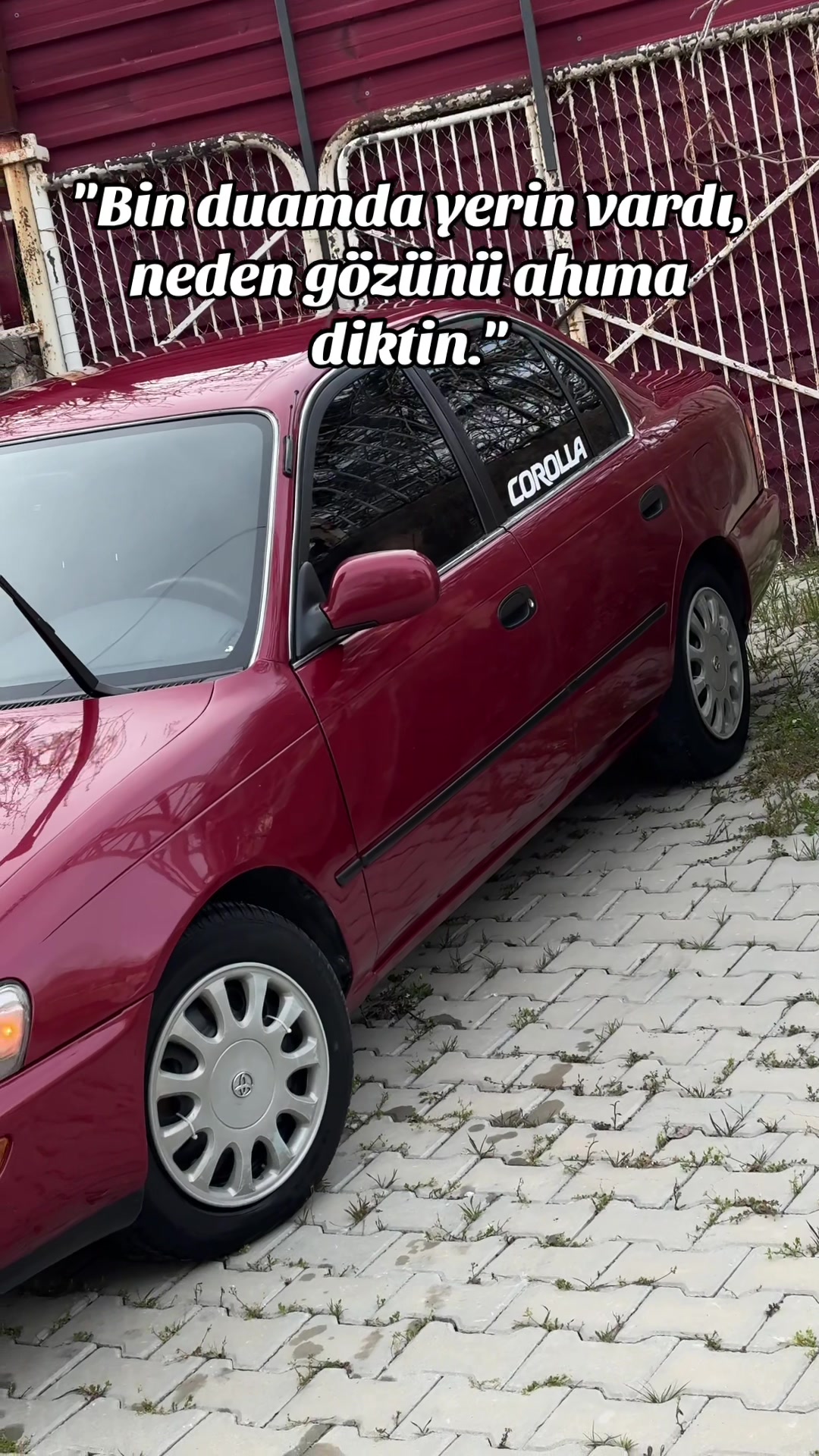 @𐱅𐰇𐰼𐰰