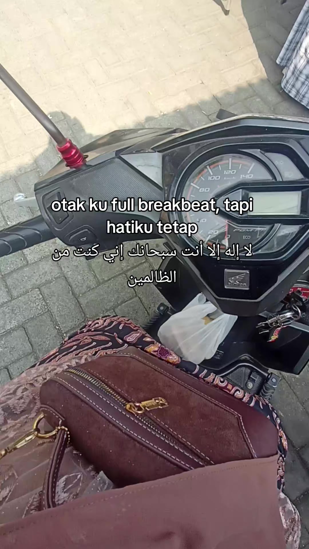 @☘︎ ᥫ᭡☻ᥫ᭡ඞ ♌ 🦟