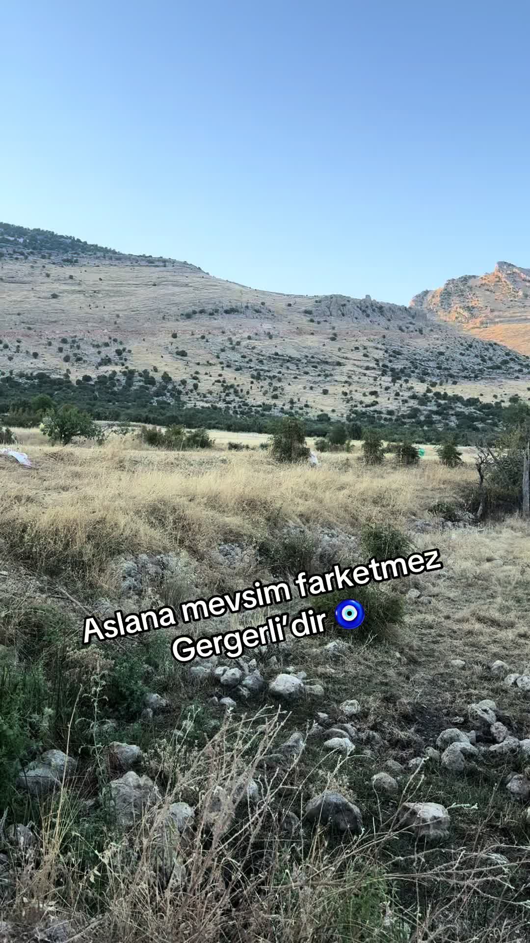 @Zaza_Bey02🇹🇷