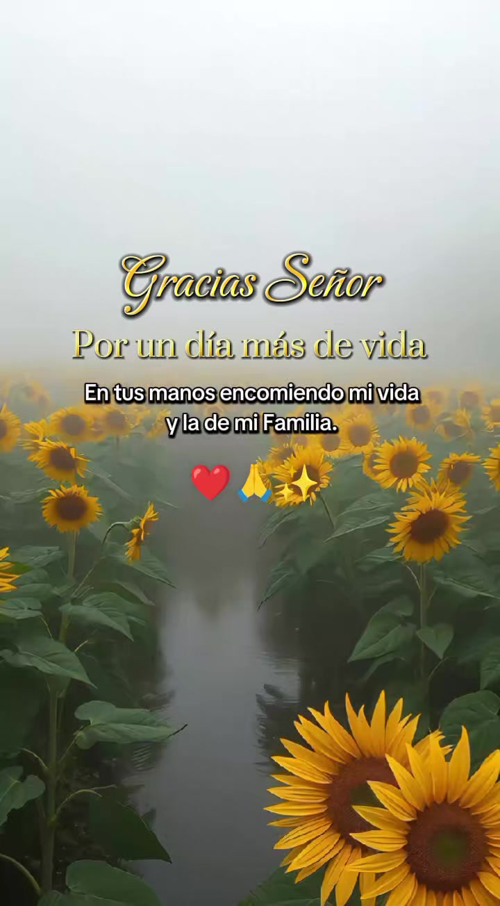 @꧁ღ💛🌻Mi bello Girasol🌻💛ღ꧂